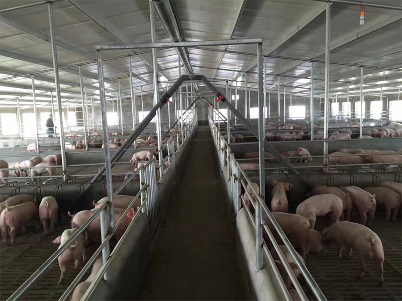豬場液态飼喂系統